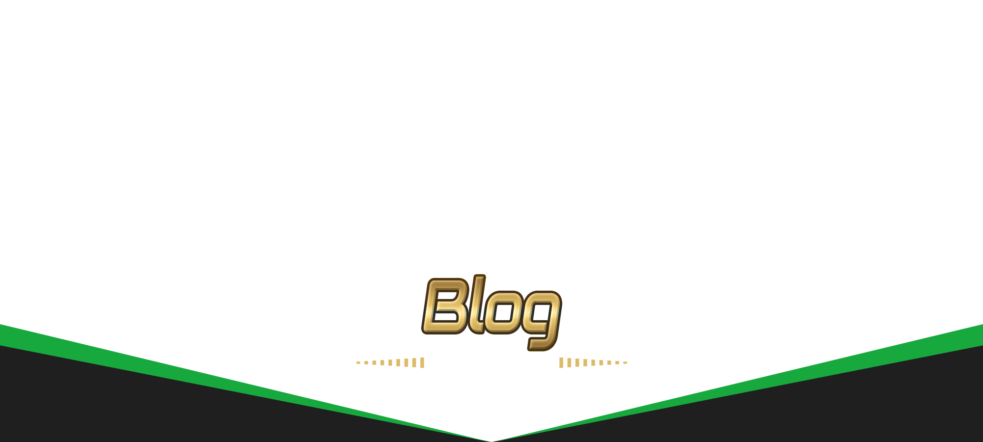 オフィシャルブログ